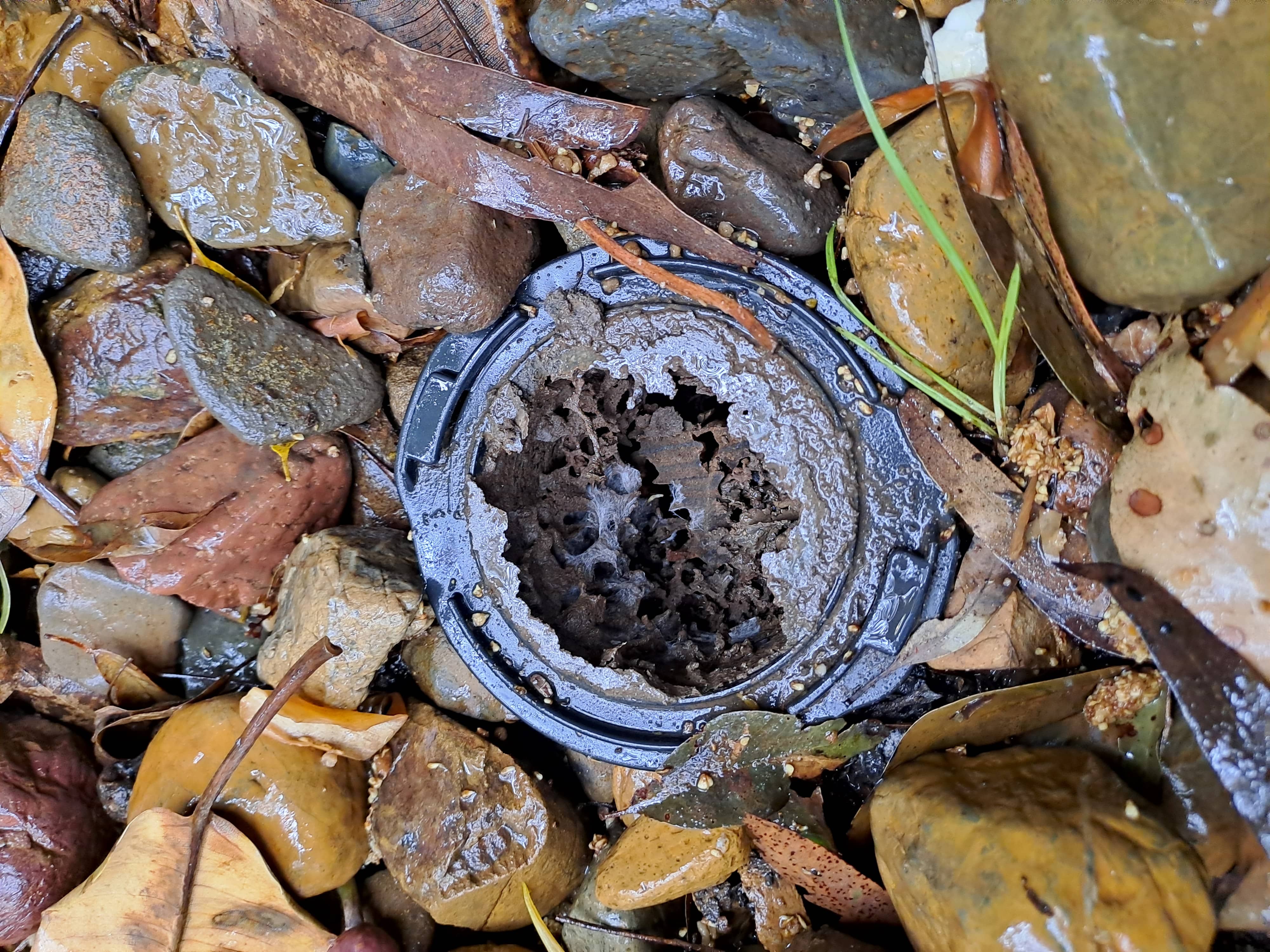 In-ground Termite Baiting System